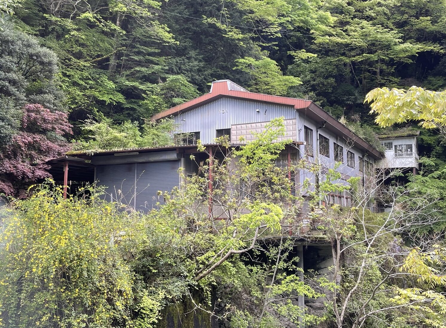 2023年 三好市 (H邸) 解体工事 - 有限会社 三歩一建設
